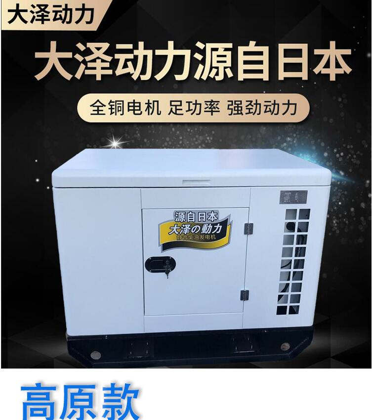 大澤動力10kw柴油發(fā)電機(jī)高原裝置